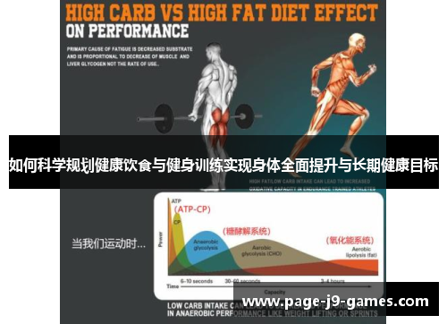 如何科学规划健康饮食与健身训练实现身体全面提升与长期健康目标