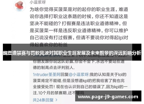 魏震遭禁赛与罚款风波对其职业生涯发展及未来前景的深远影响分析
