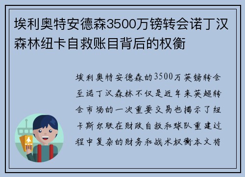 埃利奥特安德森3500万镑转会诺丁汉森林纽卡自救账目背后的权衡